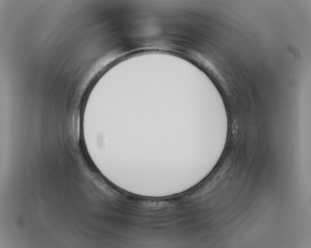 X0000114231323200911061520