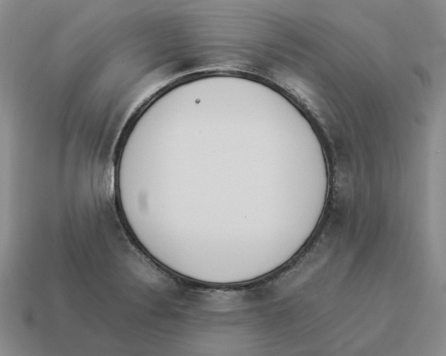 X0000114231324200911061520