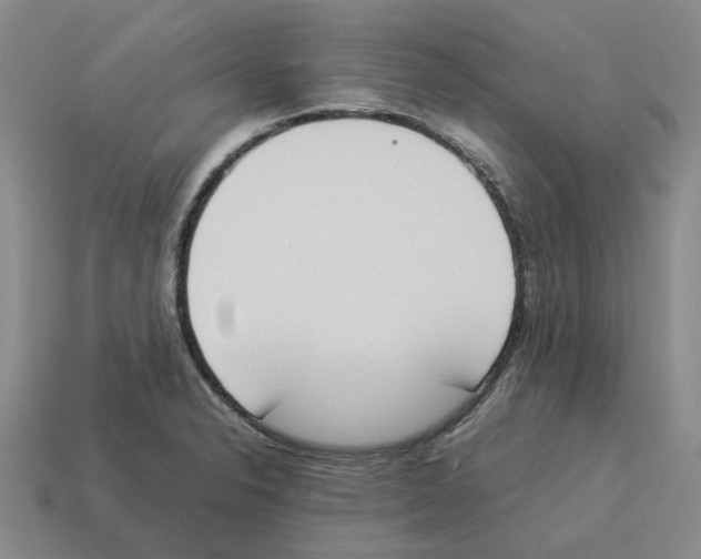 X0000114231326200911061520