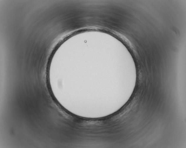 X0000114231327200911061520
