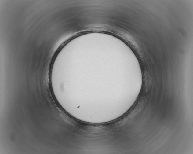 X0000114231328200911061520
