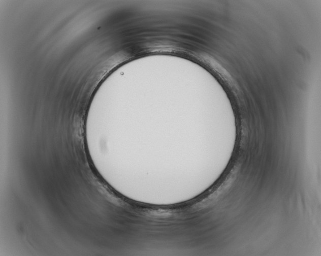 X0000114231329200911061520