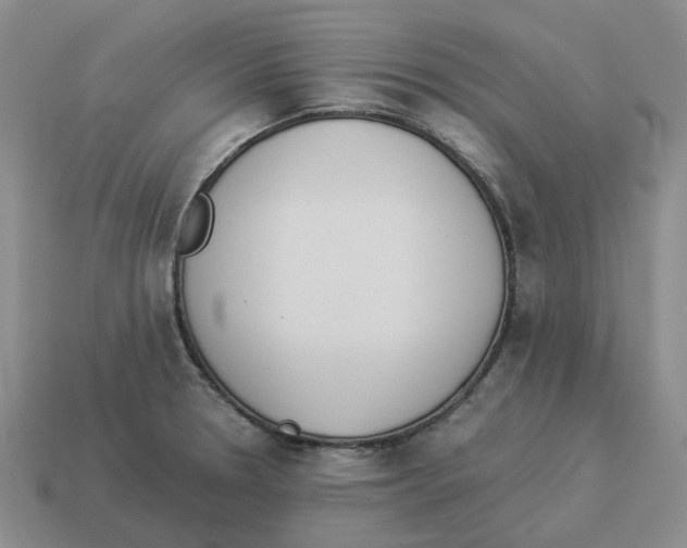 X0000114231330200911061520