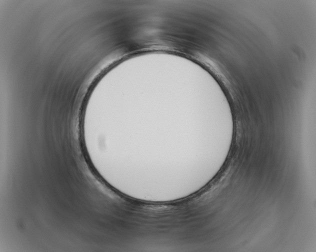 X0000114231331200911061520