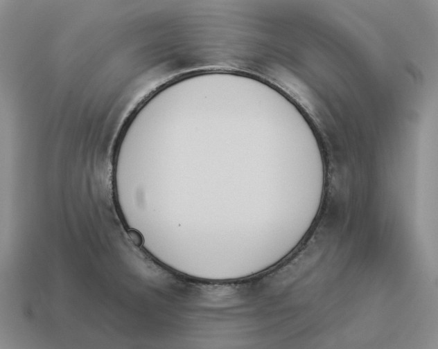 X0000114231332200911061520