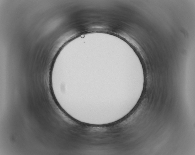 X0000114231333200911061520