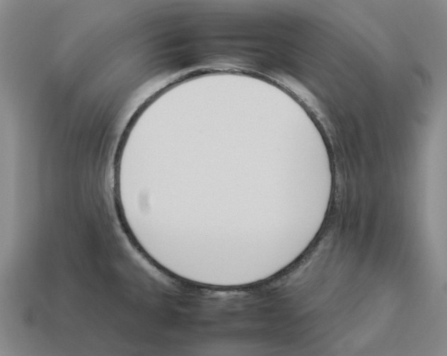 X0000114231335200911061520