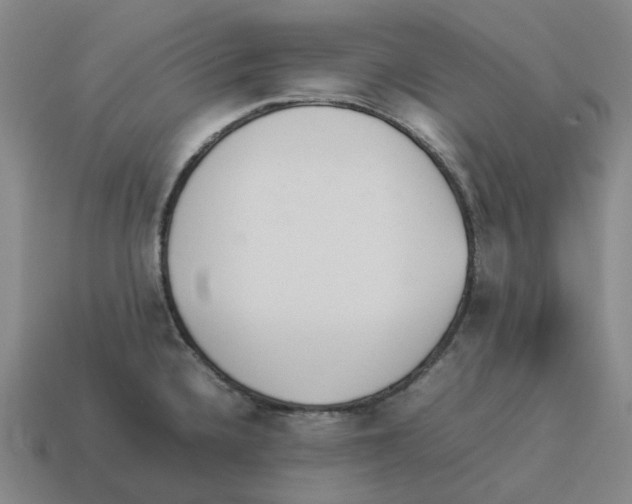 X0000114231336200911061520