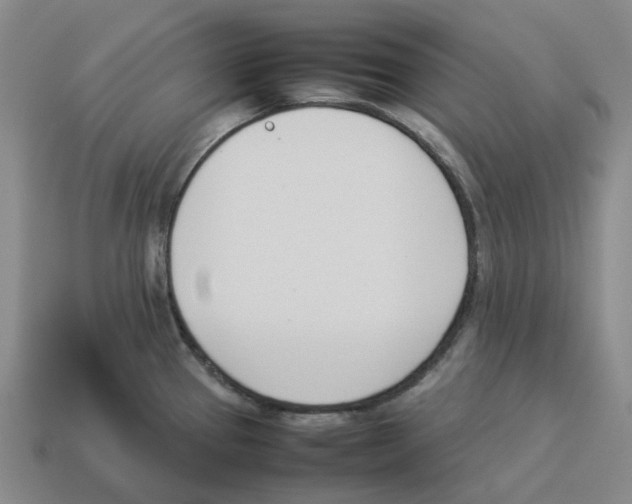 X0000114231337200911061520