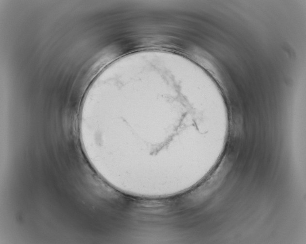 X0000114231338200911061520