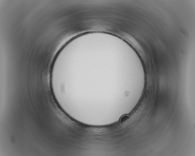 X0000114231340200911061520
