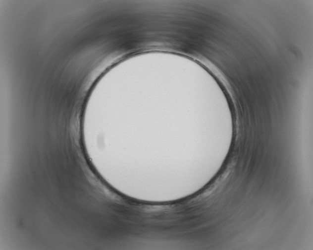 X0000114231341200911061520