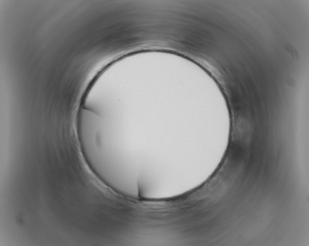 X0000114231342200911061520