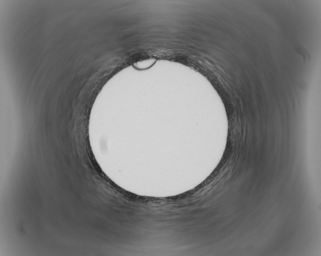 X0000114231345200911061519