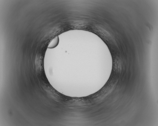 X0000114231346200911061519