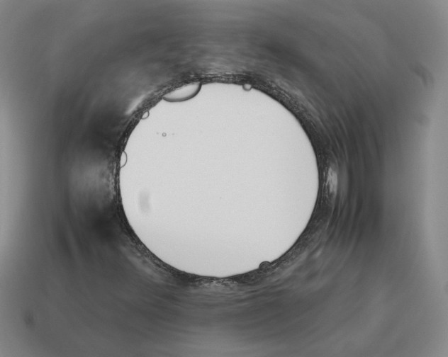 X0000114231348200911061519