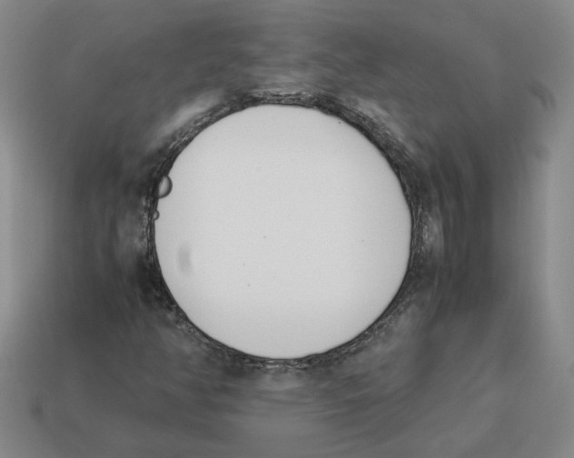 X0000114231350200911061519