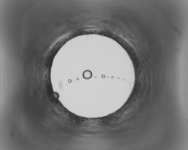 X0000114231351200911061519