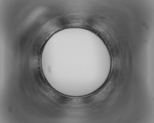 X0000114231353200911061519