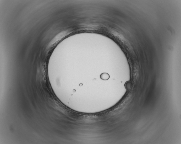 X0000114231354200911061519