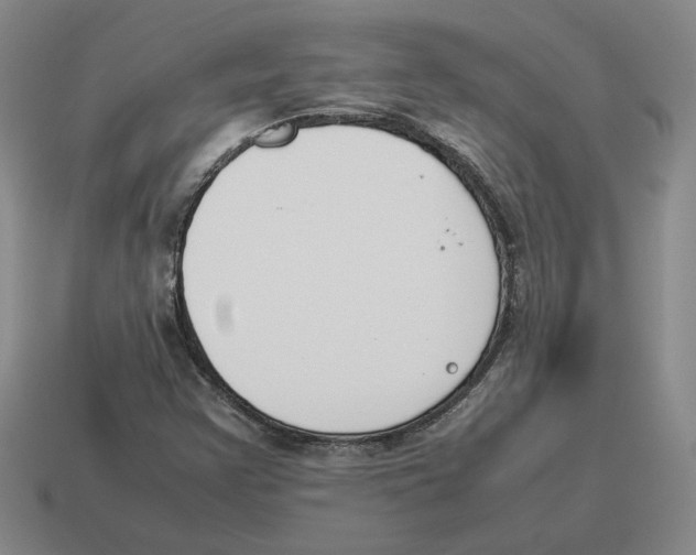 X0000114231355200911061519