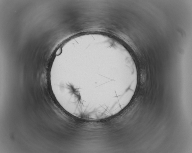X0000114231356200911061519