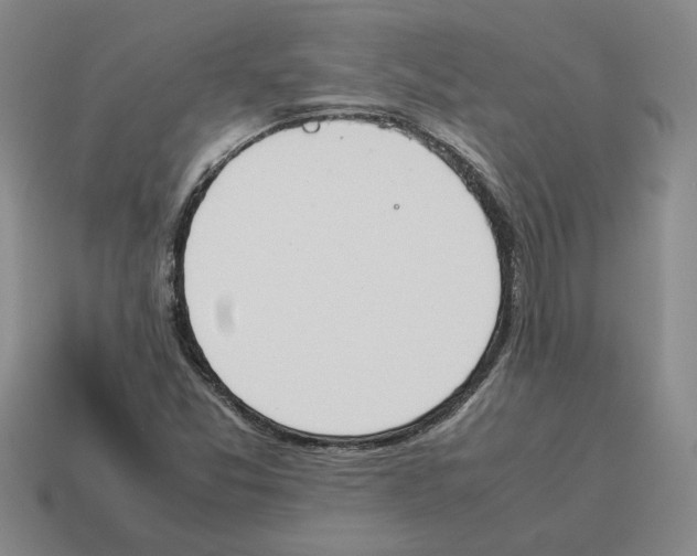 X0000114231357200911061519