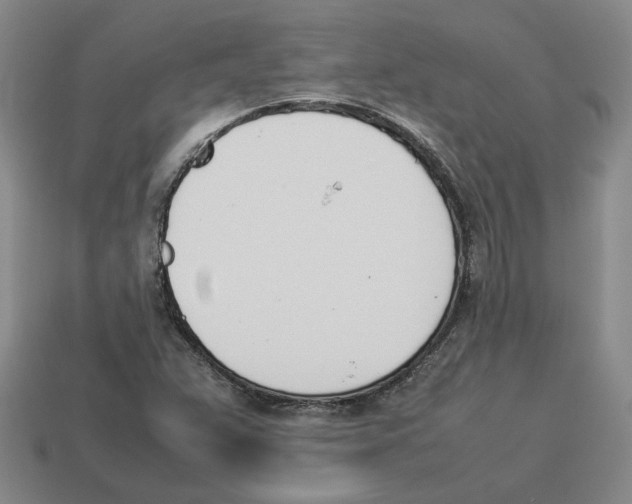 X0000114231359200911061519