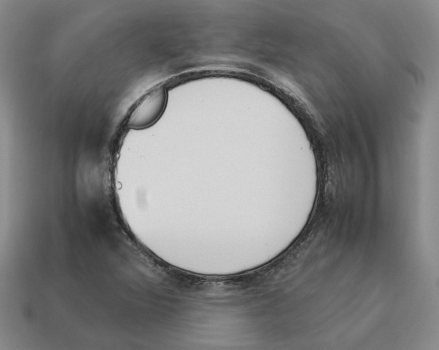 X0000114231360200911061519