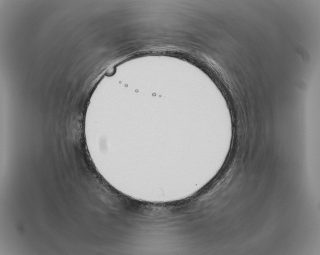 X0000114231361200911061519