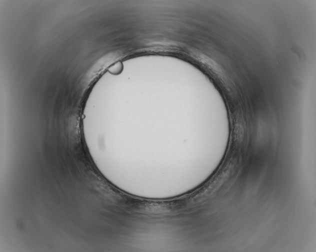 X0000114231362200911061519