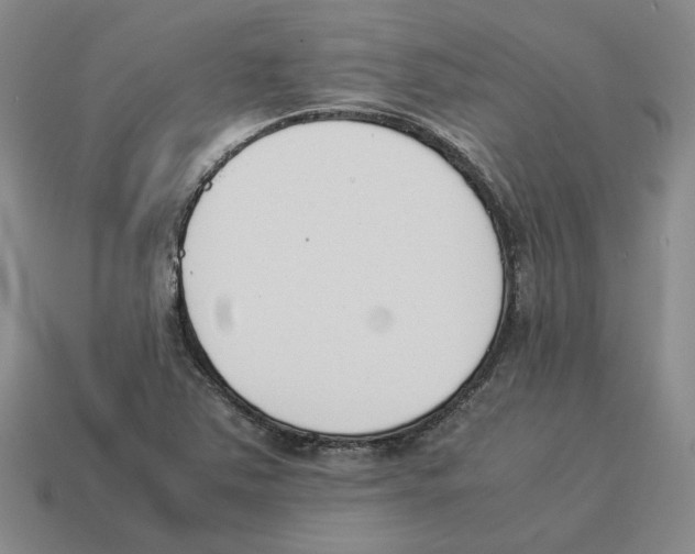 X0000114231363200911061519