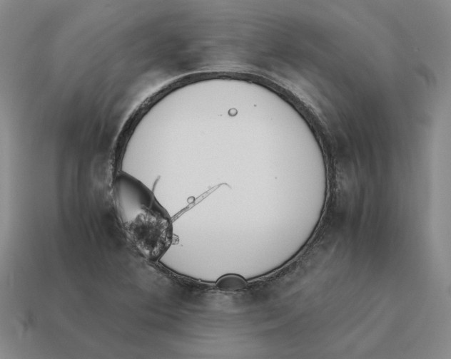 X0000114231364200911061519