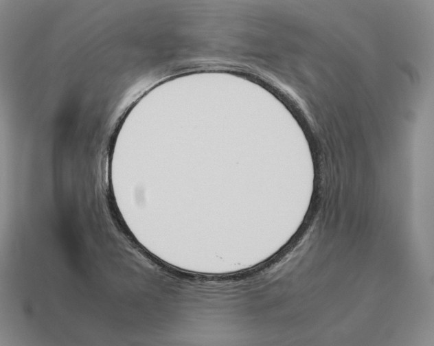 X0000114231365200911061519