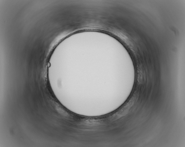 X0000114231366200911061519
