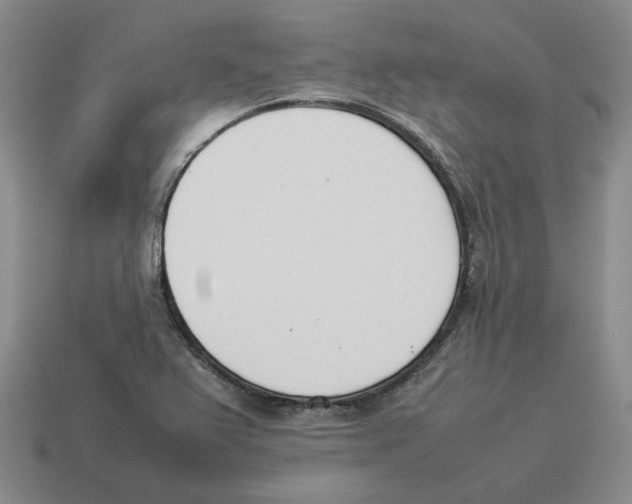 X0000114231367200911061519
