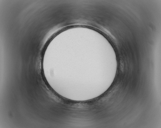 X0000114231368200911061519