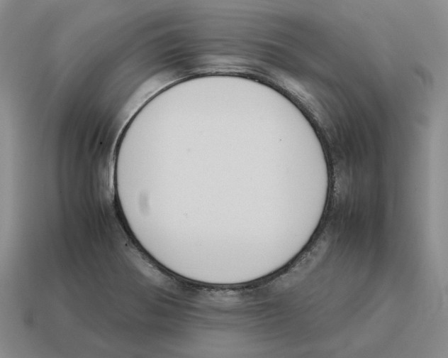 X0000114231370200911061519