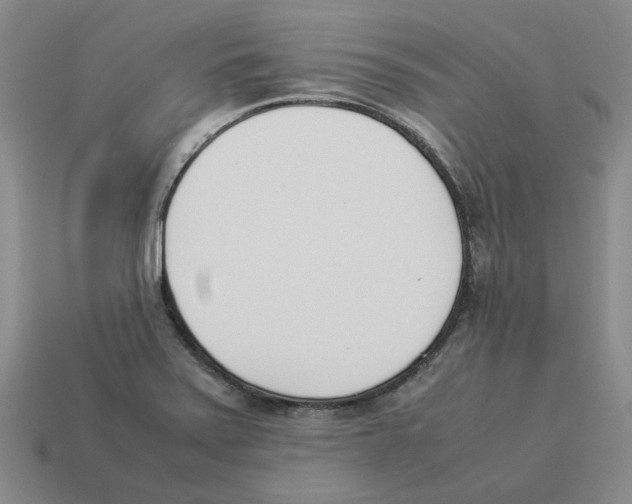 X0000114231371200911061519