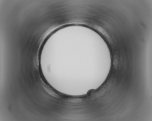 X0000114231372200911061519