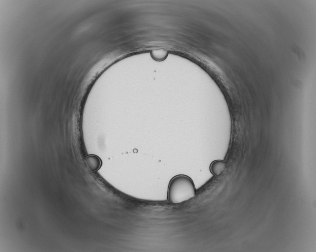 X0000114231373200911061519