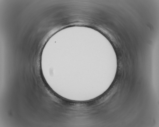 X0000114231375200911061519