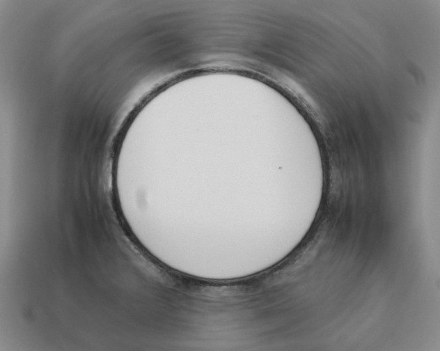 X0000114231376200911061519