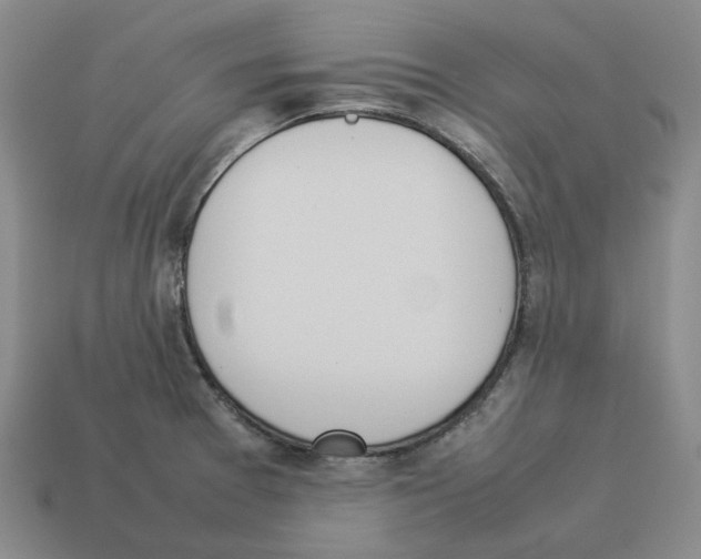 X0000114231377200911061519