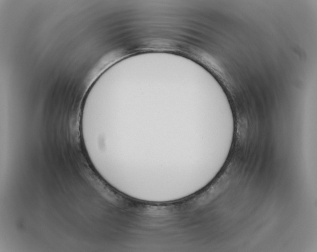 X0000114231378200911061519