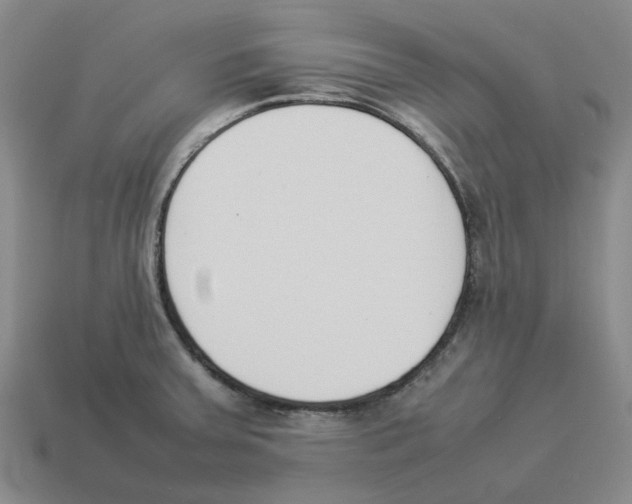 X0000114231379200911061519