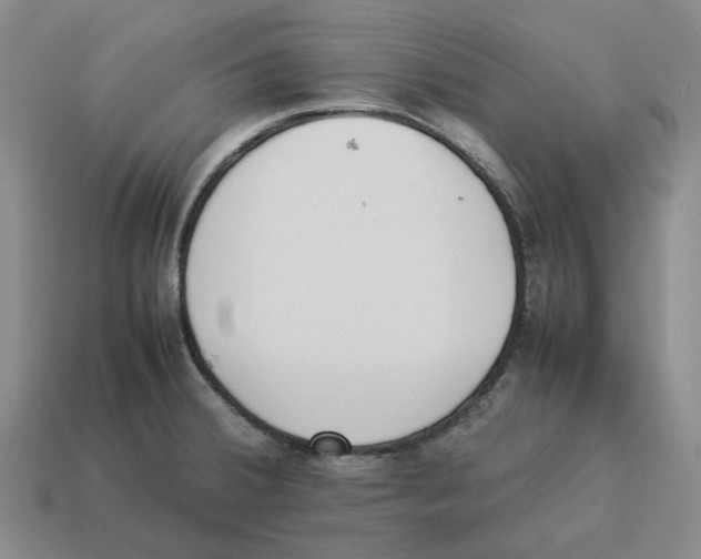 X0000114231380200911061519