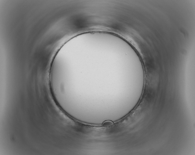 X0000114231381200911061519