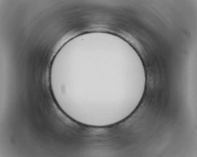 X0000114231382200911061519