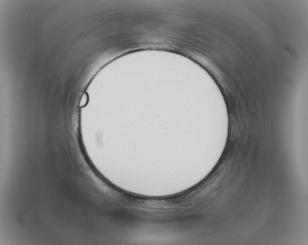 X0000114231383200911061519